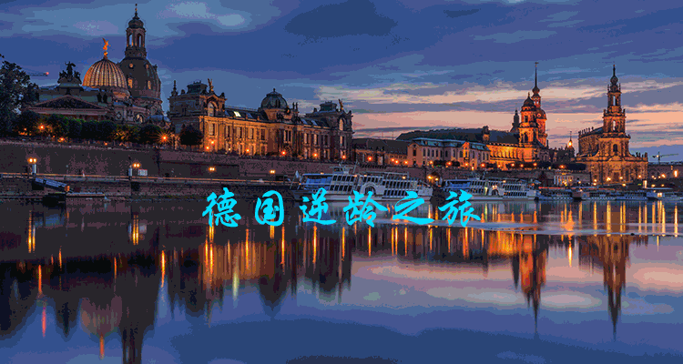 1569492765655841.gif 未标题-1.gif